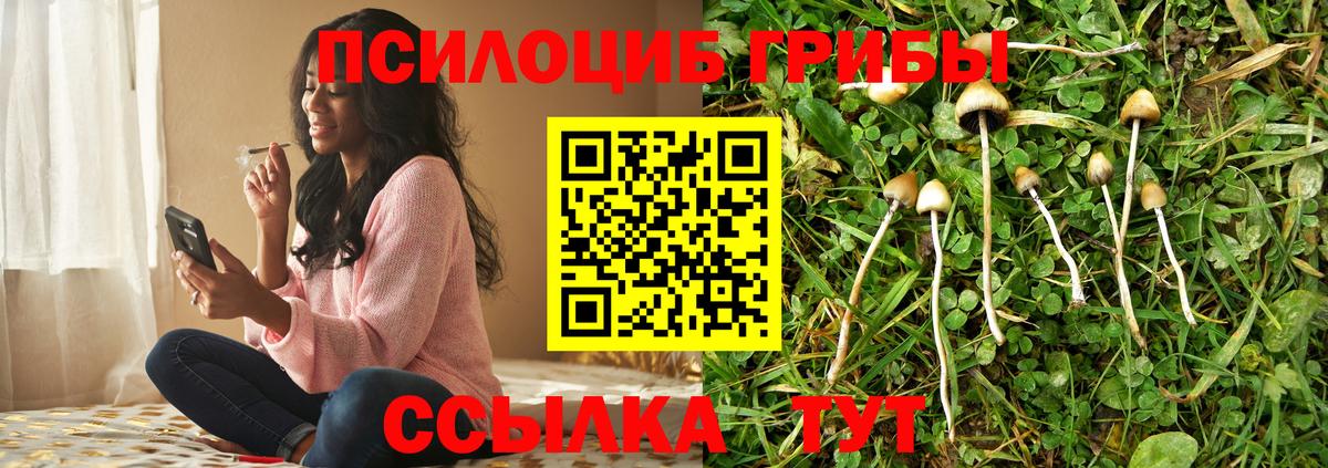 Псилоцибиновые грибы Magic Shrooms  Вход с VPN  Вышний Волочёк  Галлюциногенные грибы GOLDEN TEACHER 