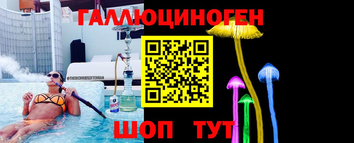 Псилоцибиновые грибы мицелий Вышний Волочёк
